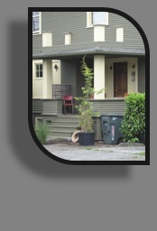 collage image title