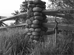 stacks_image_3E5EB9B4-54F2-4C82-B18A-7F75CEDC3987